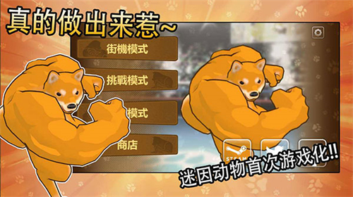 动物之斗中文版截图