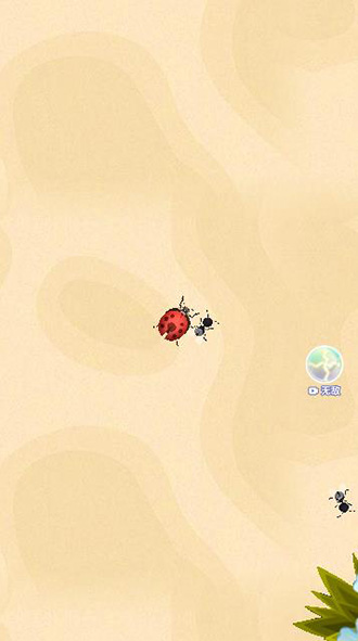 召唤神凤最新版截图