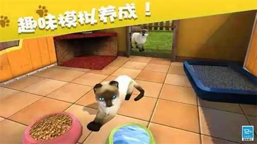 我的动物王国截图