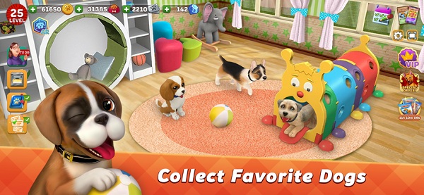 dog town截图