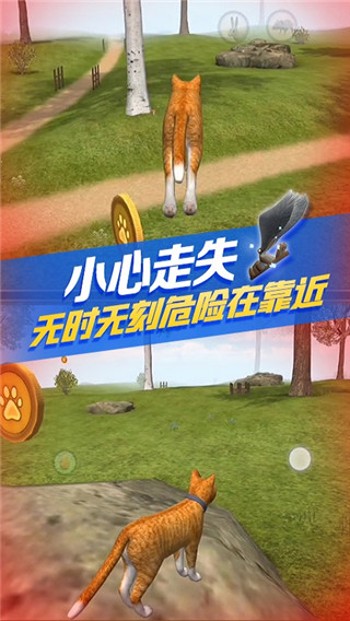 猫咪生存模拟器截图