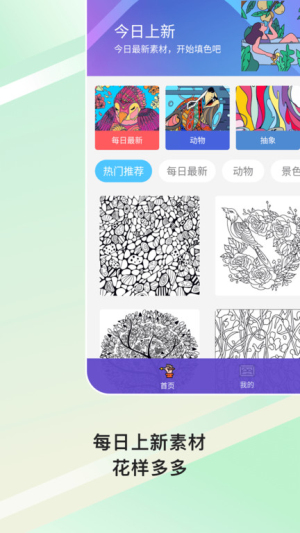paint数字填色截图