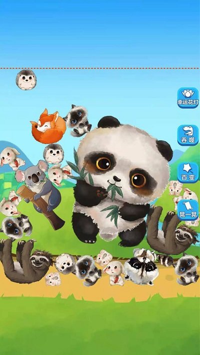 熊猫大师截图