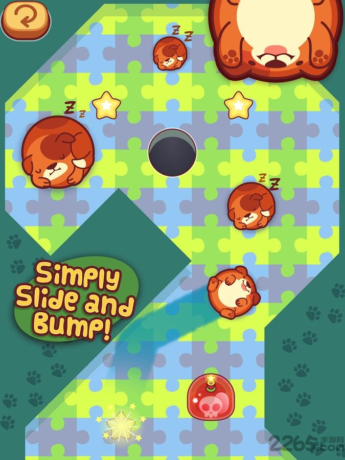 宠物保龄球截图