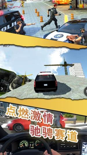 警察缉私巡查3D截图