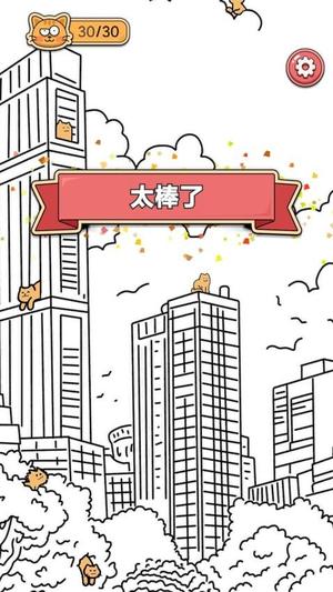 找猫猫截图