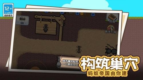 蚂蚁的指挥官截图