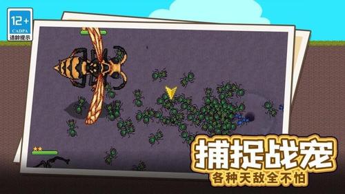 蚂蚁的指挥官截图