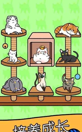猫咪公寓截图