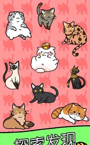 猫咪公寓截图