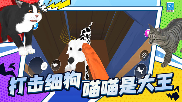 喵星人日常截图