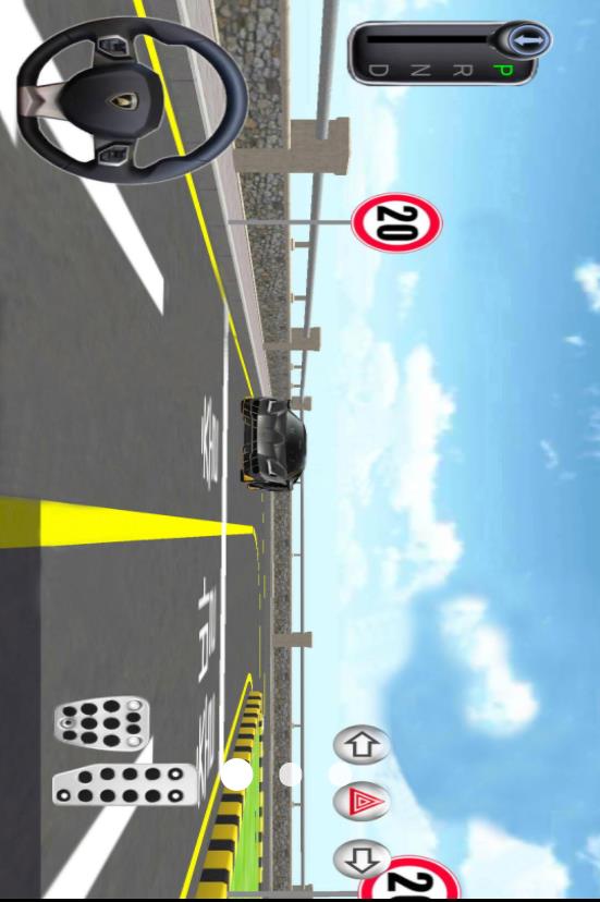 真实驾驶模拟3D截图