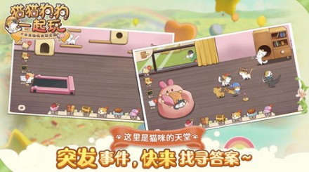 猫猫狗狗一起玩截图