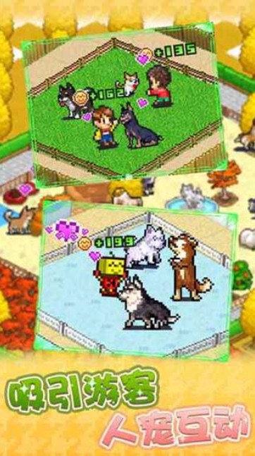 发现狗狗乐园截图