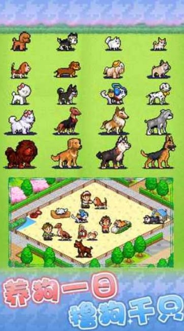 发现狗狗乐园截图