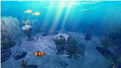 口袋VR水族馆截图