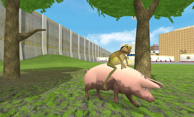 神奇青蛙免费版截图