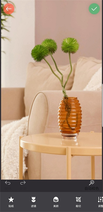 镜像相机手机版截图