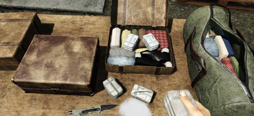 边境检察官模拟器截图