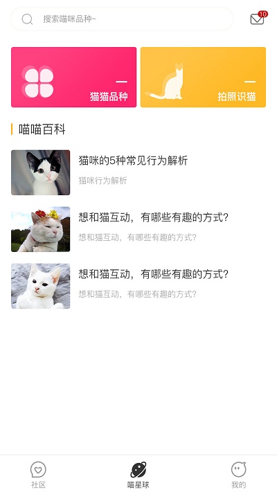 云养猫截图