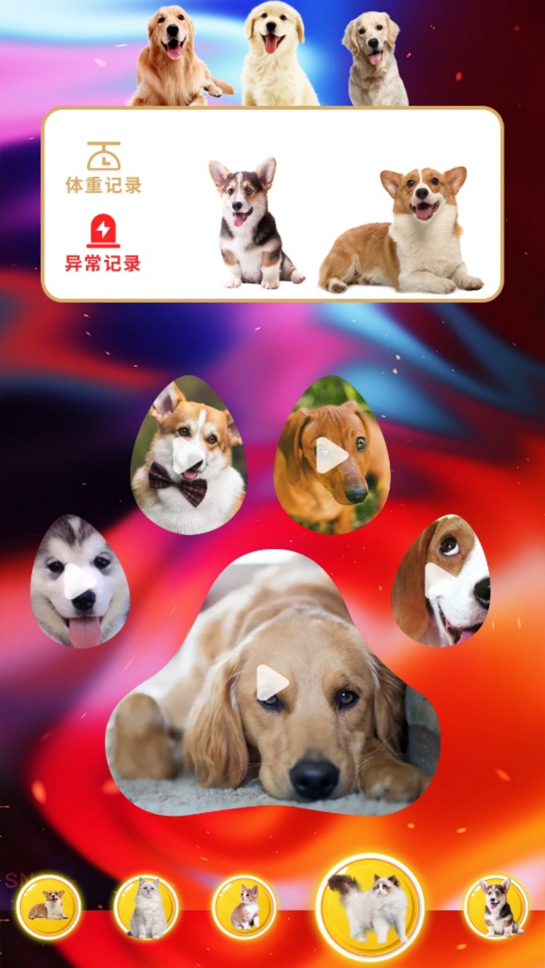 agosda翻译助手截图