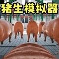 小猪派对