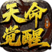 苍月天命觉醒