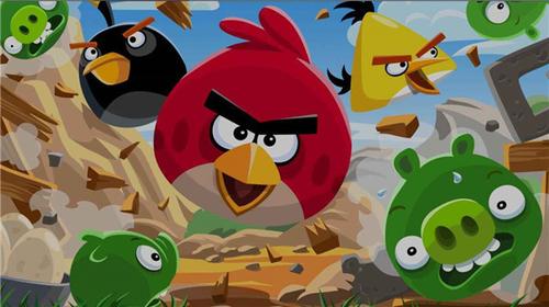 我的鸟随机截图