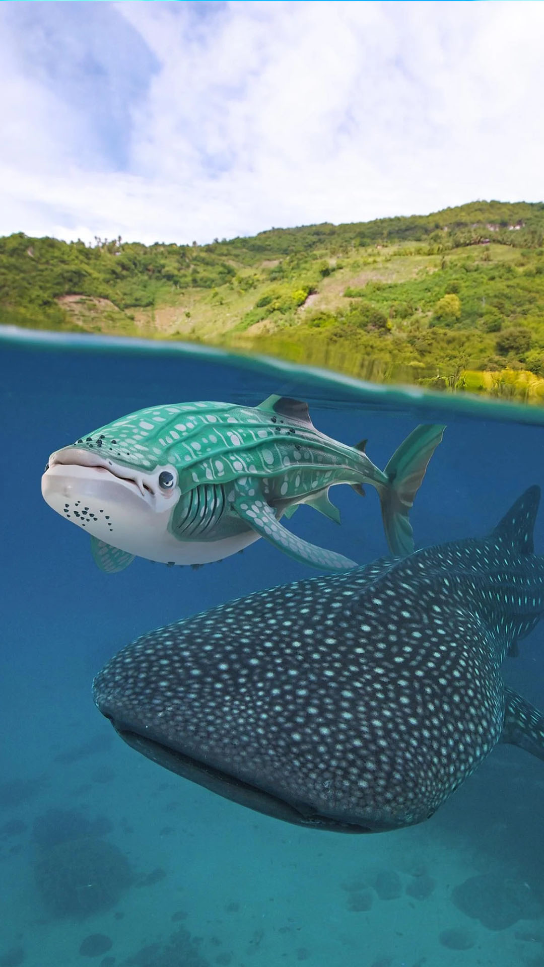 极限海岛求生截图