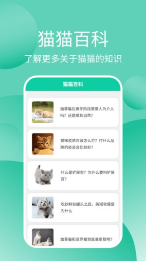 猫猫交流器截图