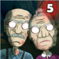 爷爷奶奶5