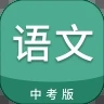 中考语文通