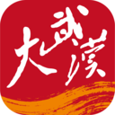 大武汉客户端下载2025最新版