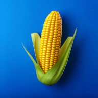 农场之地不减反增版