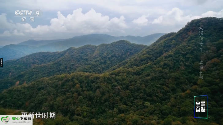 米团TV电视版APP官方版截图