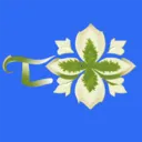 苔米云2026官方最新版本