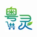 粤灵最新安卓版