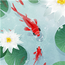 鱼戏荷塘官方正版