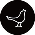 libratone app