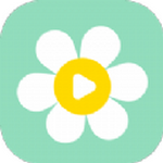 雏菊影视