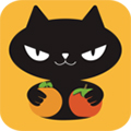 橙柿猫安卓版