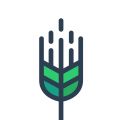 青稞app