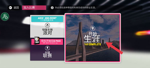 拉力地平线中文版截图