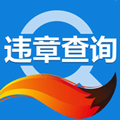 搜狐违章查询app