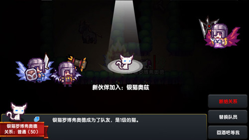 伊洛纳银猫在哪里抓4