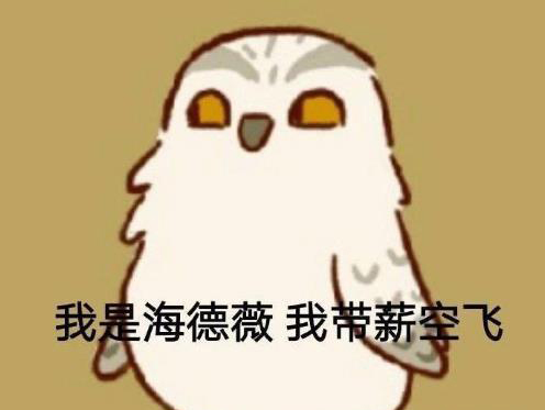 动物餐厅海德薇涨价许可证