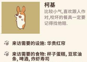 动物餐厅柯基需要什么设施