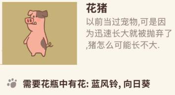 动物餐厅花猪吃什么