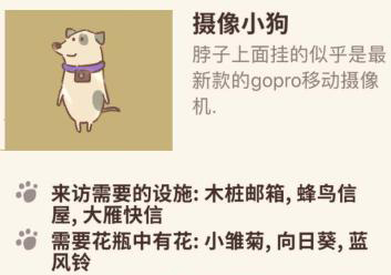 动物餐厅摄像小狗为什么不来