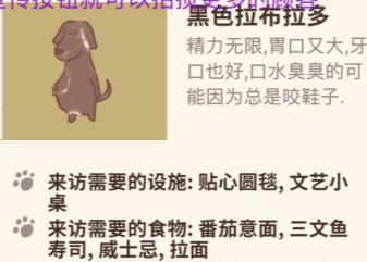 动物餐厅黑色拉布拉多解锁需要啥
